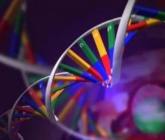 蛋白质、基因组与人类疾病有了关联图 有助促进药物靶点快速识别