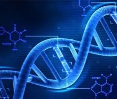 DNA结构揭秘：跨学科探索擦出的火花