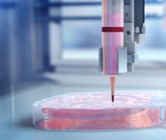 高密度、高活力、高分辨率，3D生物打印人体组织实现“三高”