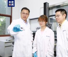 可穿戴！我国科学家率先打造出有弹性的铁电材料